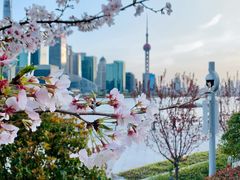 -北外滩滨江绿地