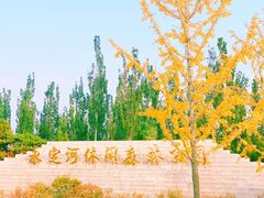 -永定河休闲森林公园