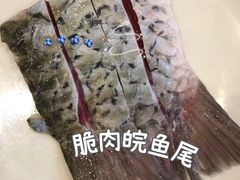 -正能量脆肉鲩火锅