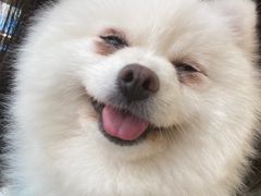 -怪兽屋·羊驼·猫咖·狗咖(俊华广场店)