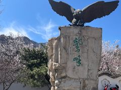 -北京鹫峰国家森林公园