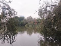 -人民公园(罗湖区)