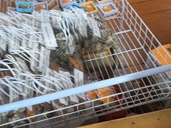 -蓝湾碧波·老字号·疍家非遗海上餐厅