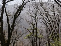 -陕西省红河谷森林公园