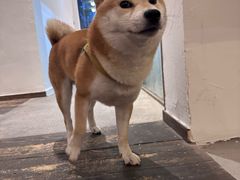 -三目仓咖啡(贤南路店)