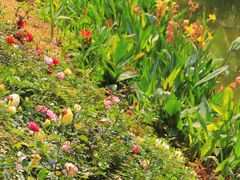 -人民公园(罗湖区)