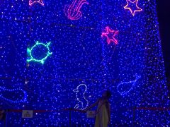 -烟台海昌鲸鲨海洋公园