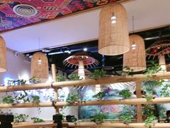 -椰夫人·养生椰子鸡(金沙洲永旺店)