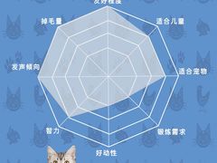 -小猫来了·猫舍(红山六九七九店)