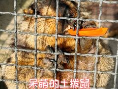 -保定市动物园