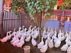 -鱼窝棚柴火铁锅炖(富山屯店)