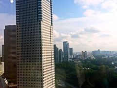 -新加坡丽思卡尔顿美年酒店