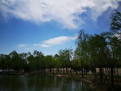-东郊湿地公园
