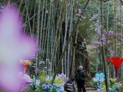 -龙湾潭国家森林公园