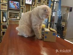 -咖法森林·咖啡  酒吧(天河店)