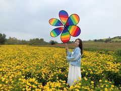 -莲花山花海
