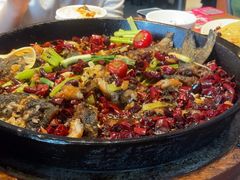 -老板恋上鱼(恒隆广场店)