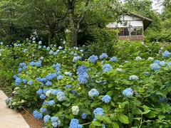 -三千院