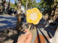 -集美学村