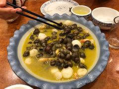 太湖三白丝螺汤-西新饭店(城中店)