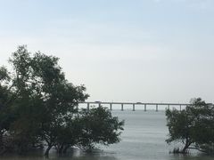 -宝安西湾红树林湿地公园