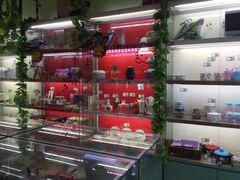 礼品台-小象猛犸(炫地购物中心店)