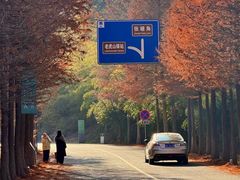 -南京市无想山景区