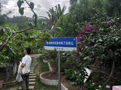 -桃源山庄·水蜜桃采摘·柴火鸡·烧烤团建(龙泉山店)