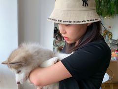 -Husky Go! 哈士奇体验馆·宠物咖啡厅狗咖