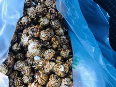 -正宗老杨特色爆米花(四棉店)