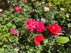 -金陵花卉交易市场