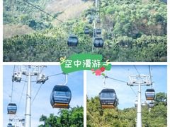 -呀诺达热带雨林