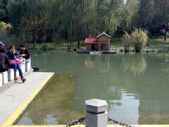 android_upload_pic-徐家汇源景区-衡山公园
