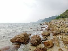 -杨梅坑