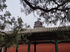 -颐和园