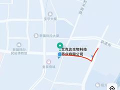 -新疆国际大巴扎