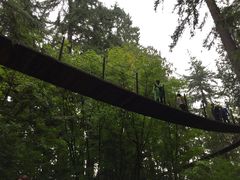 -悬崖栈道