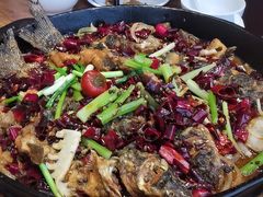 -老板恋上鱼(恒隆广场店)