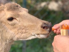 -野鸭湖国家湿地公园