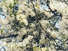 -东钱湖旅游度假区