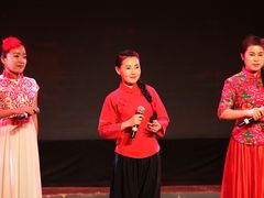 -陕北民歌大舞台