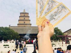 -大雁塔北广场音乐喷泉