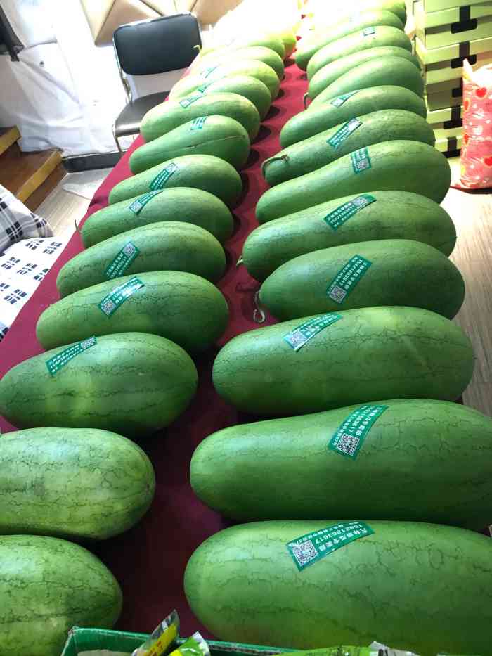 三林崩瓜专卖-"这个崩瓜我来的时候可能已经不是季节了所.