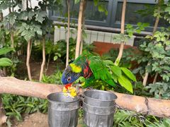 -南宫五洲植物乐园