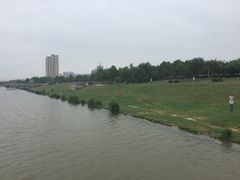 -灞河西岸滨河公园