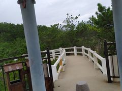 -威海大乳山景区