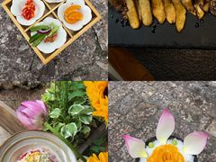 -菌自由丨野生菌火锅特色庭院餐厅(丽江古城店)