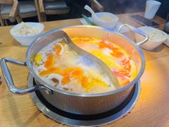 -椰子印象椰子鸡·椰奶鸡·糟粕醋(友谊阳光城店)