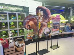 -芸山季·云南山珍菌火锅(南翔印象城MEGA店)