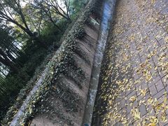 -苏州河梦清园环保主题公园